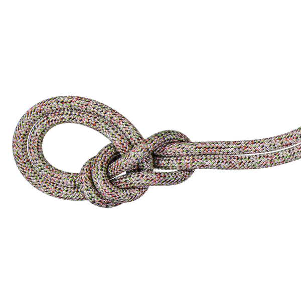 Lano Mammut 9.5 Crag We Care Classic Rope assorted 9000