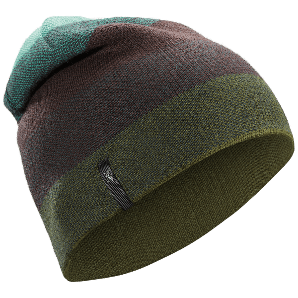 Čiapka Arcteryx Charleson Toque Galaxy Dust