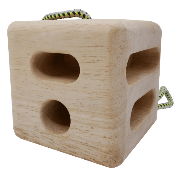 Campus Y Y Vertical Cube