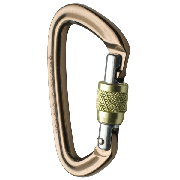 Karabina Black Diamond Positron Screwgate