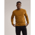 Triko dlouhý rukáv Arcteryx Captive Arc´Word LS Men Yukon
