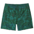 Hydropeak Volley Shorts Men Cliffs and Coves: Conifer Green