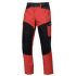 Nohavice Direct Alpine Mountainer Cargo 1.0 Men red/black