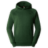 Mikina The North Face RAGLAN RED BOX HD Men PINE NEEDLE