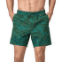 Kraťasy Patagonia Hydropeak Volley Shorts Men Cliffs and Coves: Conifer Green