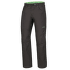 Edge 3.0 Pants Men anthracite/green