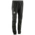 Kalhoty Bjorn Daehlie Winter Pants 2.0 Women (332041) Black