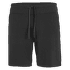 Kraťasy Icebreaker Utility Explore Shorts Men Monsoon