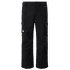 Nohavice The North Face Slashback Cargo Pant Men TNF BLACK