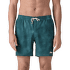Plavky Patagonia Hydropeak Volley Shorts - 16 in. Men Blue Sage