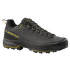 TX5 Evo GTX Men Carbon/Yellow