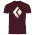 Chalked Up Tee SS Men Port