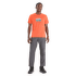 Kalhoty Icebreaker Hike Pants Men Monsoon