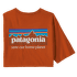 Triko krátký rukáv Patagonia P-6 Mission Organic T-Shirt Men Sandhill Rust