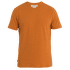 Central Classic SS Tee Men EARTH