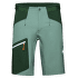 Taiss SO Shorts Men dark jade-woods 40239