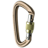 Karabina Black Diamond Positron Screwgate