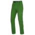 Edge 3.0 Pants Men green