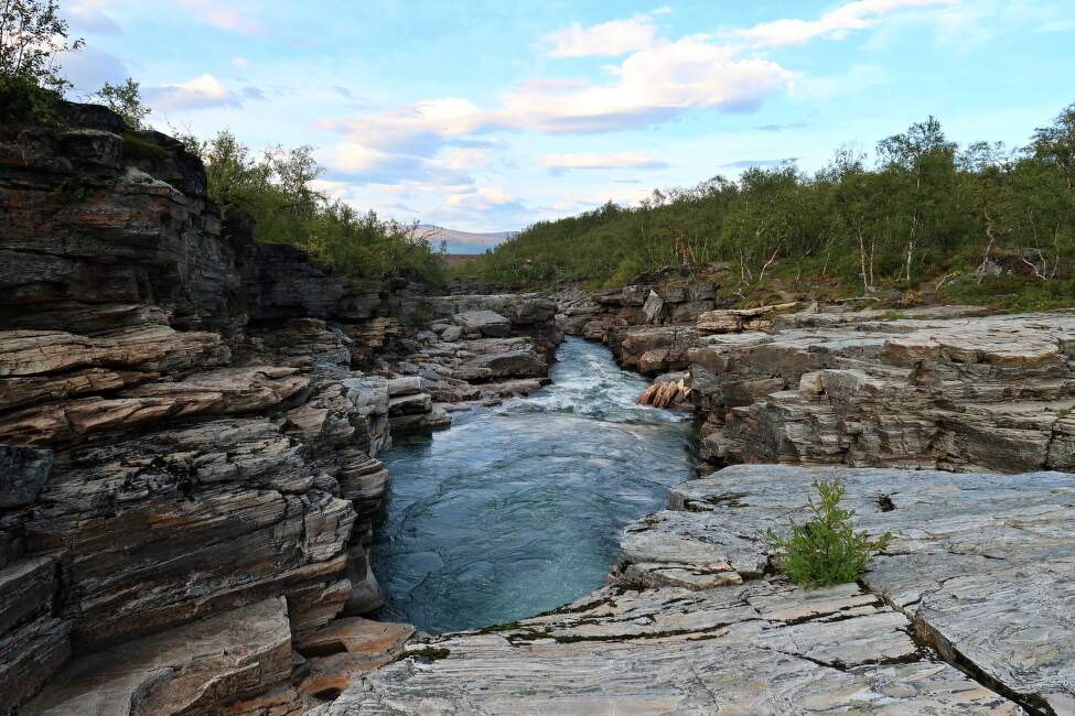 NP Abisko