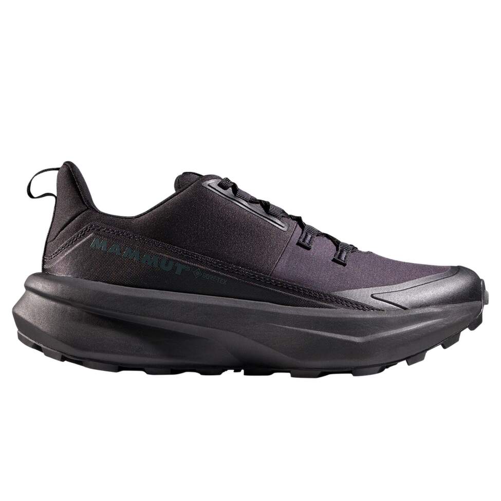 Aenergy Hike Low GTX Women