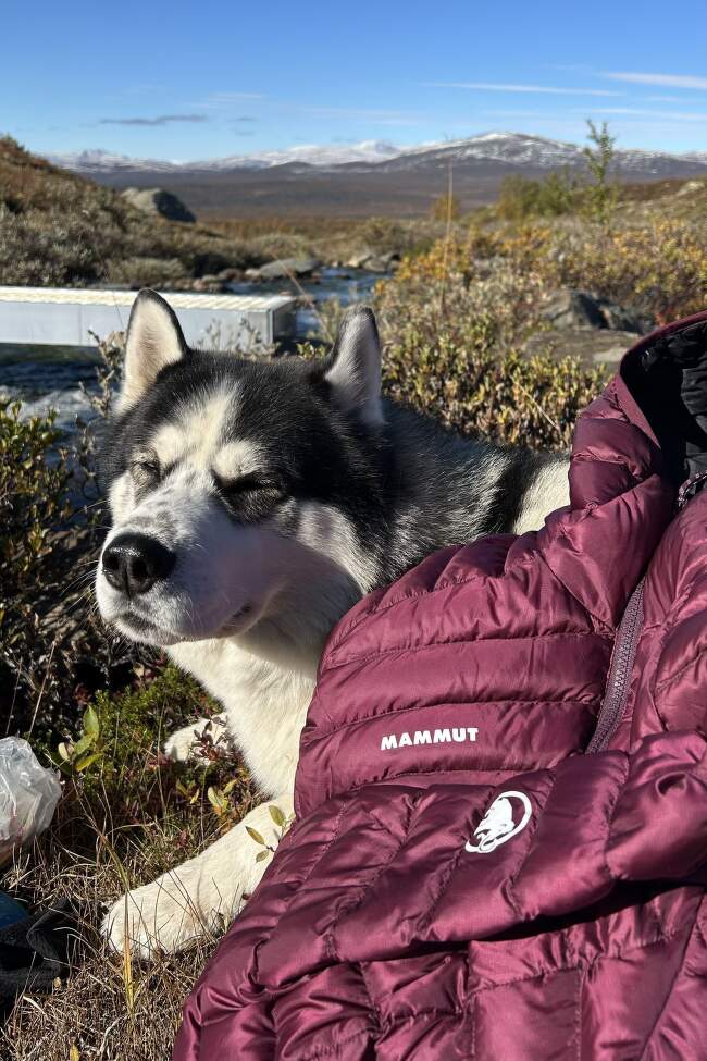 OLAVSLEDEN_Norsko_Mammut (10)