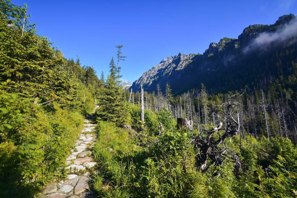 Vysoke-Tatry (9)