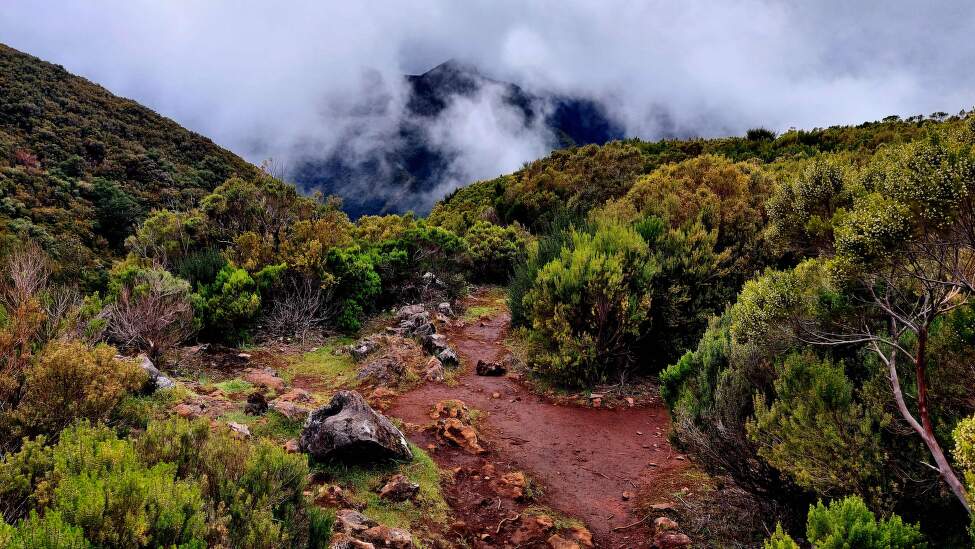 Dalkove_treky_MADEIRA_ (11)