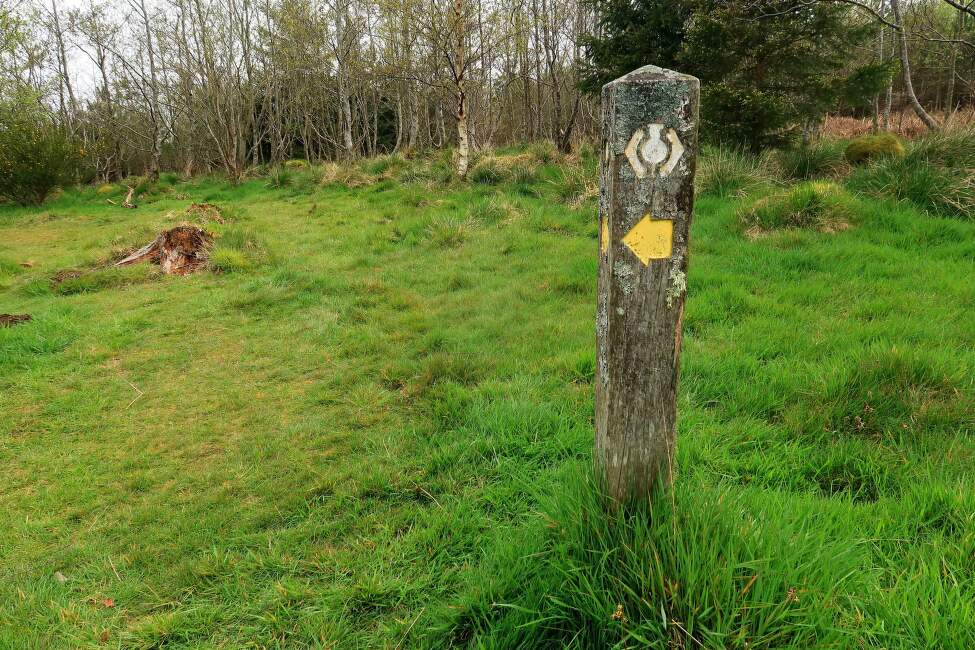 West-Highland-Way_14