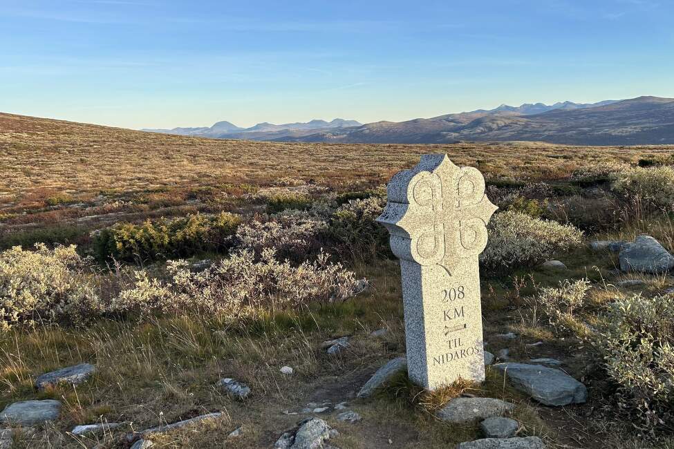 OLAVSLEDEN_Norsko_Mammut (4)