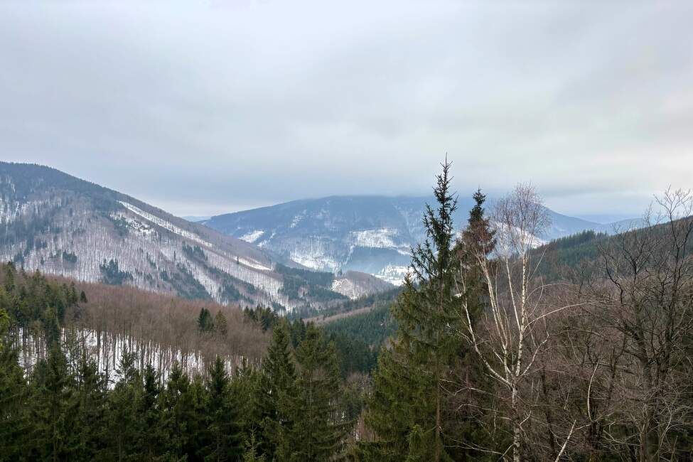 Horskyholky_Test_Checklist_II_ (3)