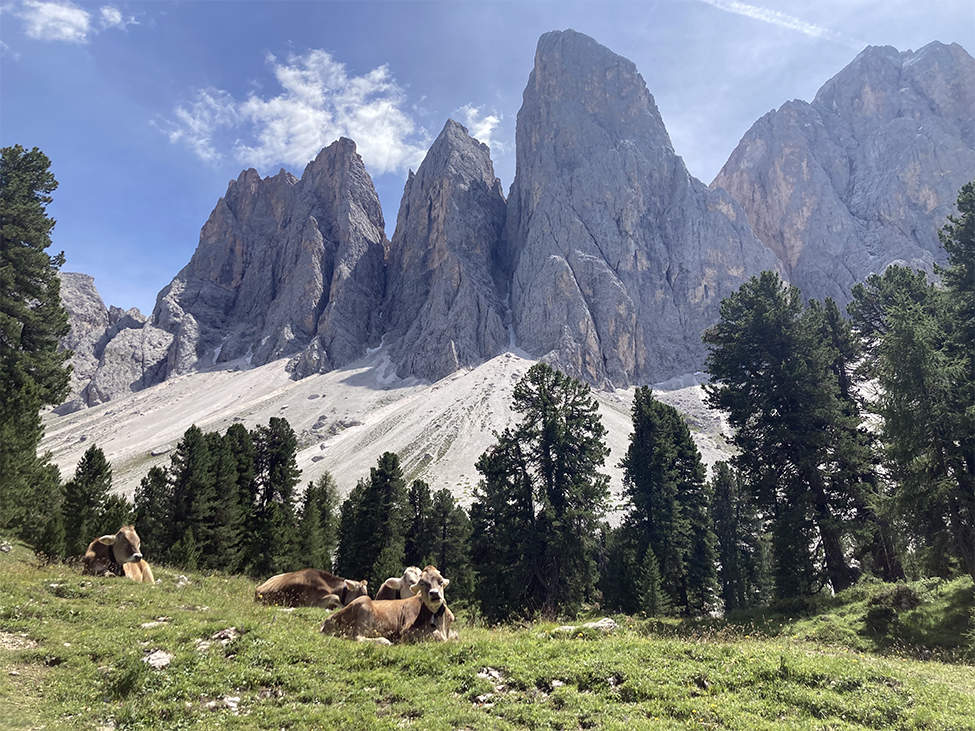 dolomity dálkový pochod