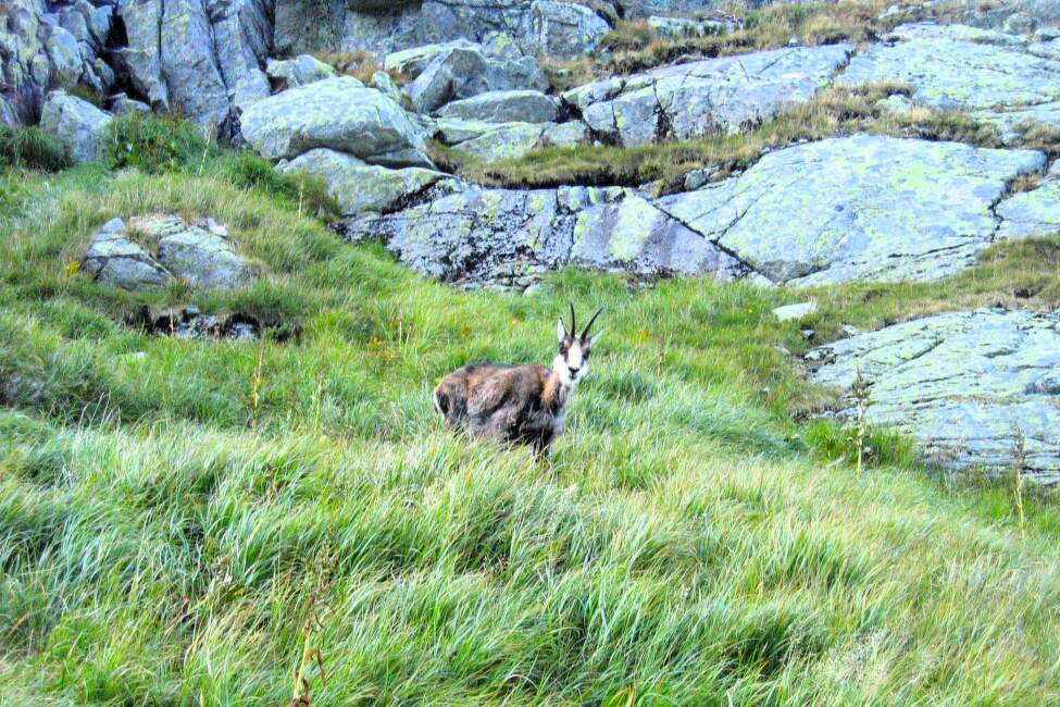 Vysoke_Tatry_nej_trasy (28)