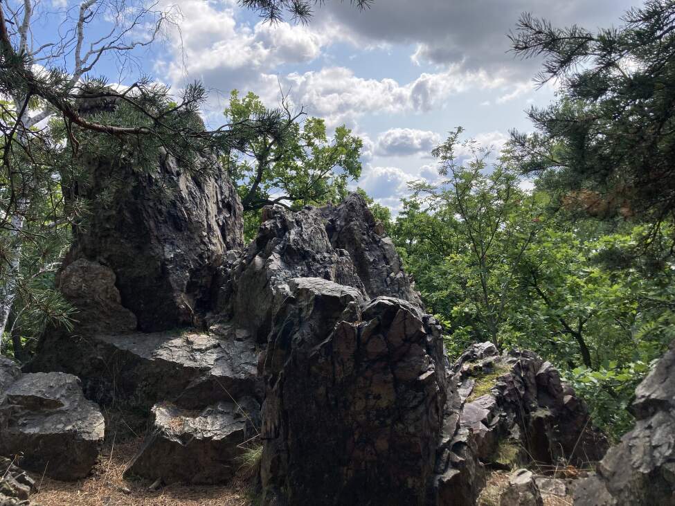 Jak_odstranit_smulu (2)