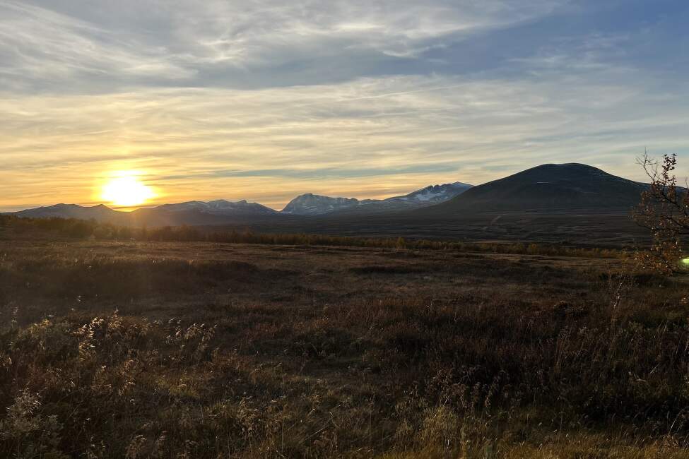 OLAVSLEDEN_Norsko_Mammut (5)