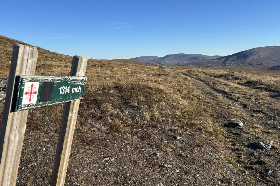 OLAVSLEDEN_Norsko_Mammut (6)