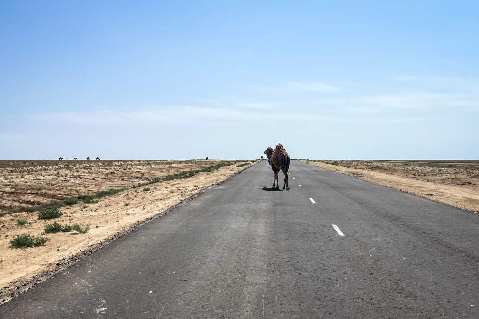 Kyrgyzstan_handbike_Cernohous_Ales (5)