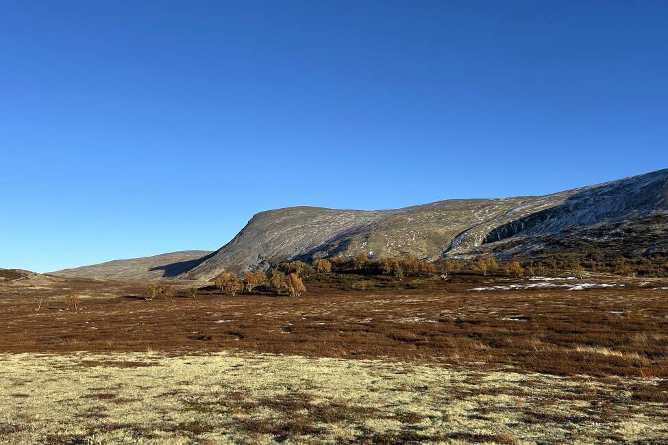 OLAVSLEDEN_Norsko_Mammut (1)